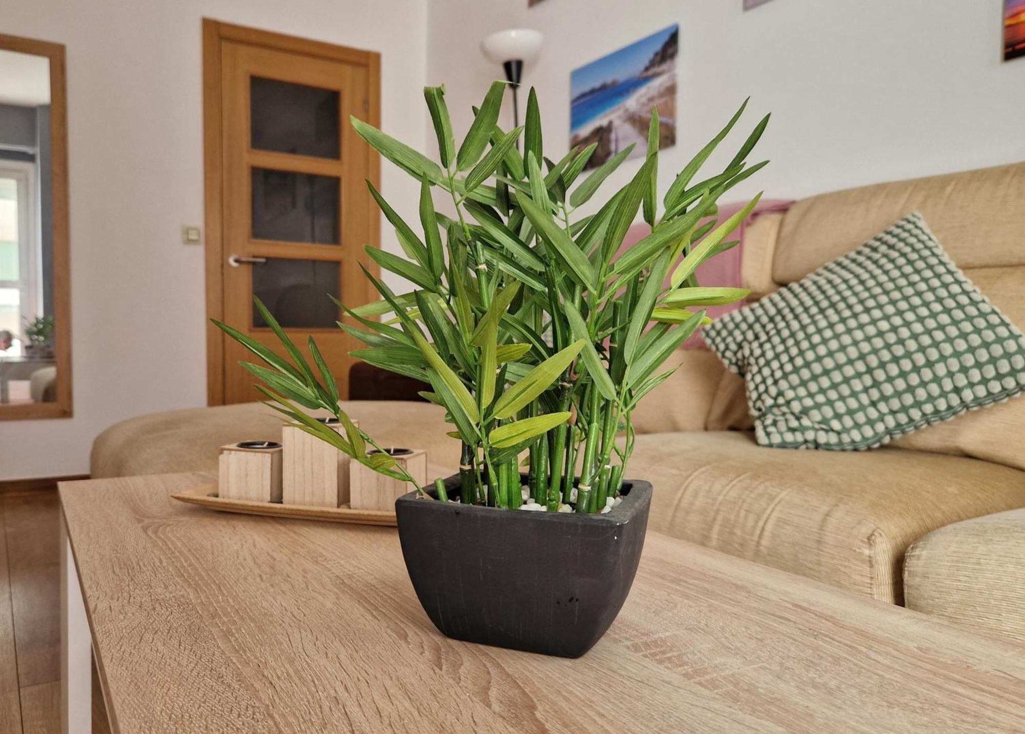 Apartamento Playa Bouzas - Vigo - Parking Free Exterior foto
